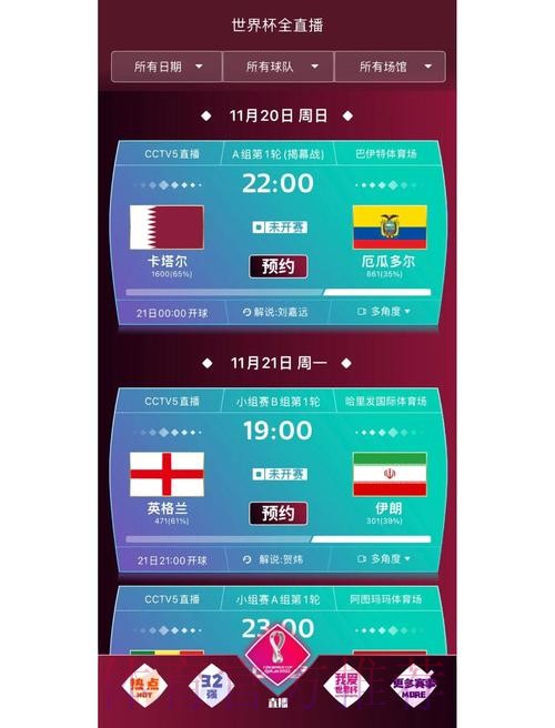 世界杯实时观赛平台推荐与解析